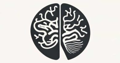 Bilateral Medial Temporal Cortices