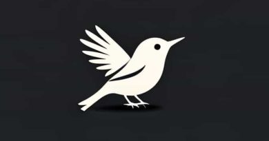 Bird Collision Photography Award