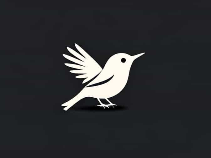 Bird Collision Photography Award