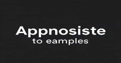 Bold Appositive Phrase Refer To Examples