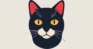 Catullus 72 Translation Quizlet