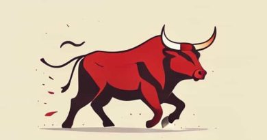 Cheer At A Bullfight