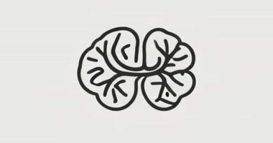 Cingulate And Insular Cortices