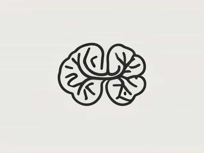 Cingulate And Insular Cortices