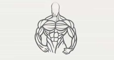 Circular And Longitudinal Muscles