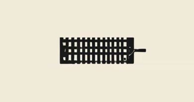 Common Name For Harmonica