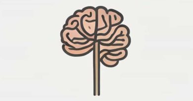 Cranial Nerve For Mastication