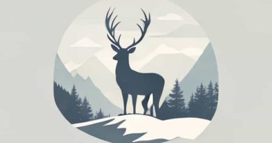 Deer Valley Mogul Competition