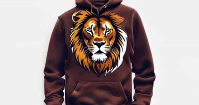 Detroit Lions Sideline Hoodie
