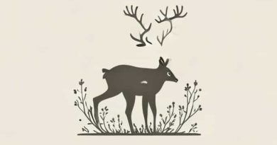 Do Deer Eat Yarrow