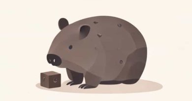 Do Wombat Poop Cubes