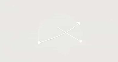 Double Ordinate Of Parabola