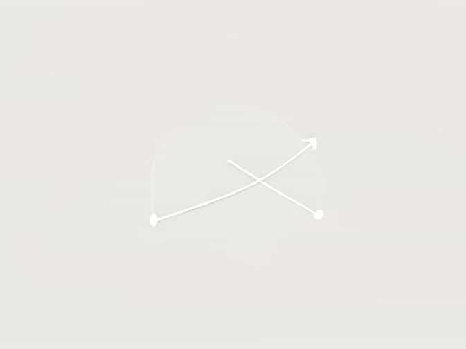 Double Ordinate Of Parabola