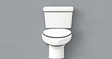 Flush Button For Toilet