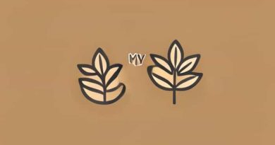 Frankie And Myrrh Patchouli