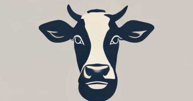 Gir Hf Cross Cow
