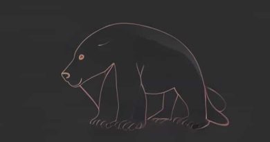 Grizzl E Charger Hardwired