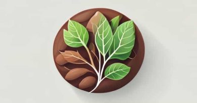 Ground Tissue Of Petiole