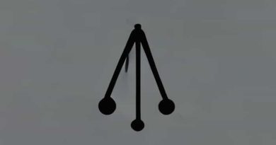 Guilty Confiscation Death Penalty