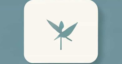 How Do You Spell Factual