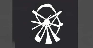 How Does Dirac Live Work