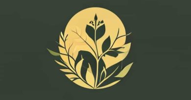 How Is Symbiosis Nagpur