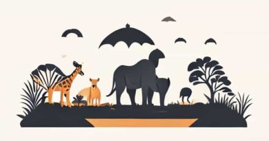 How Much Is Animal Kingdom Lodge