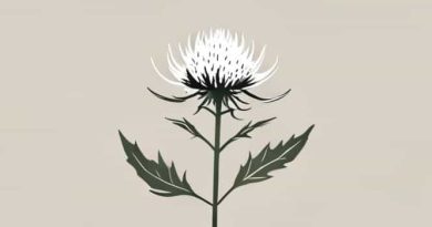 How Much Milk Thistle