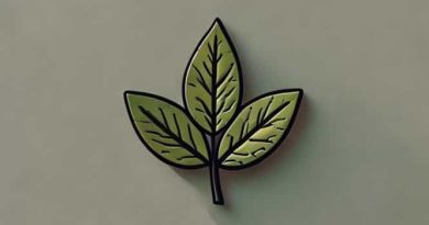 How Patchouli Smell Like