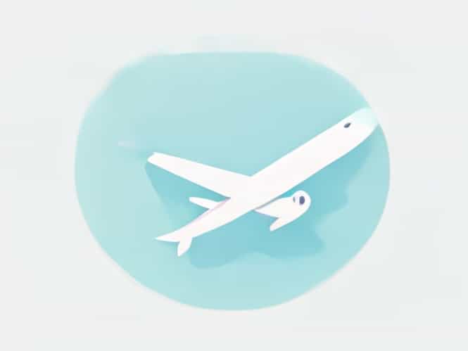 How To Add Flights To Flighty