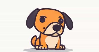 How To Calm A Hyperactive Dog