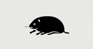 How To Find Moles Of Solute