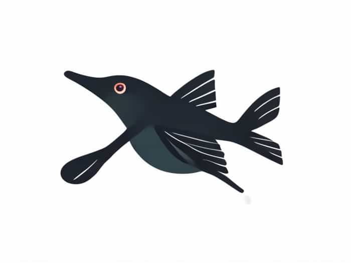 Images Of Spoonbill Fish