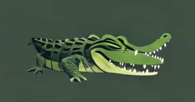 Is A Caiman An Alligator