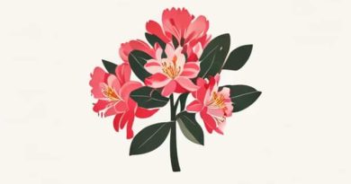 Is A Rhododendron A Tree