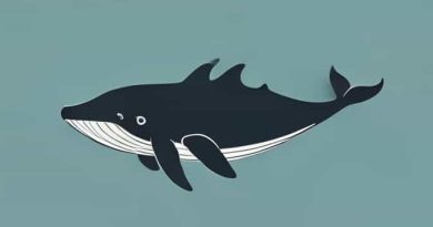 Is A Sperm Whale A Whale