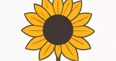 Is A Sunflower An Achene