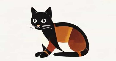 Is A Tortoiseshell Cat A Calico