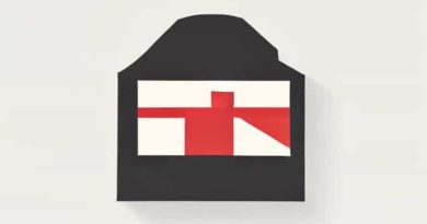 Is Austrian German Different