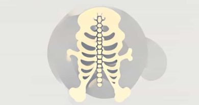 Is Bone Metabolically Active