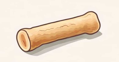 Is Bully Sticks Rawhide