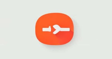 Is Functionary A Word