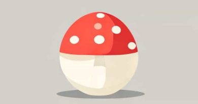 Is Puffball Mushroom Edible