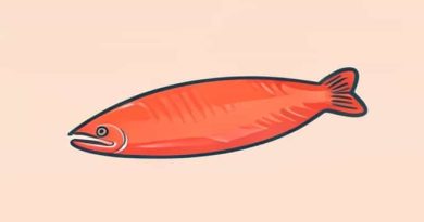 Is Salmon Wild Caught