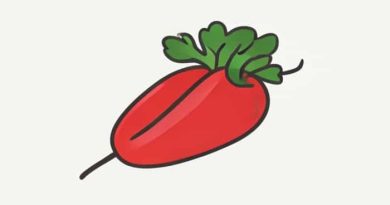 Is Swede A Vegetable