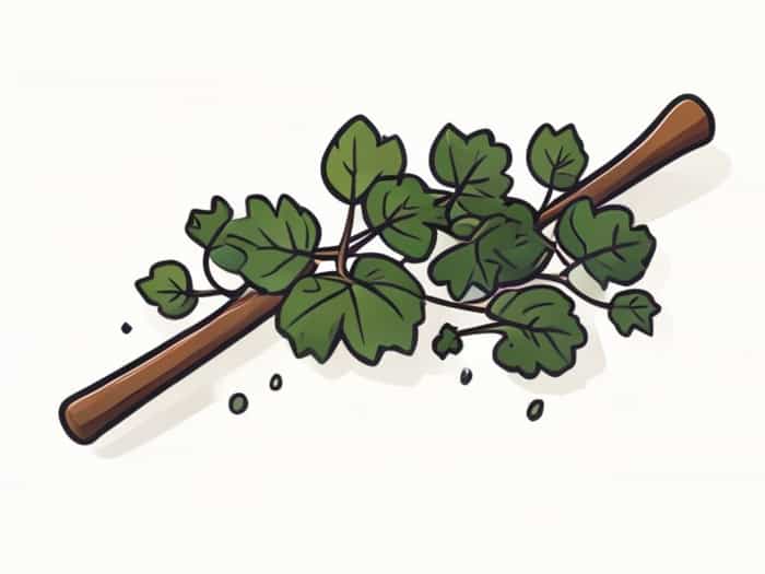 Ivy Cudgel Crit Chance