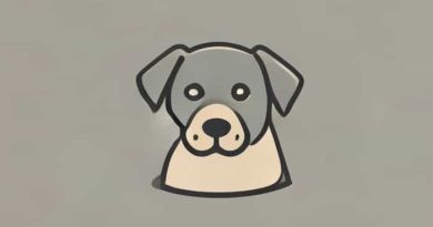 Iyi Ki Dogdun Melisa