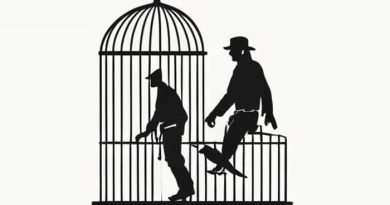 John Wayne Walk Birdcage