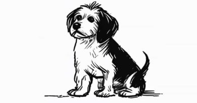 Joules Sketchy Dog Wallpaper