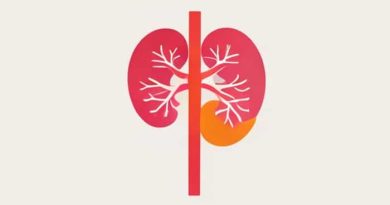 Kidney Ureter Bladder Urethra